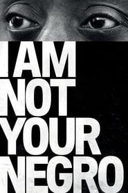 I Am Not Your Negro (2017)